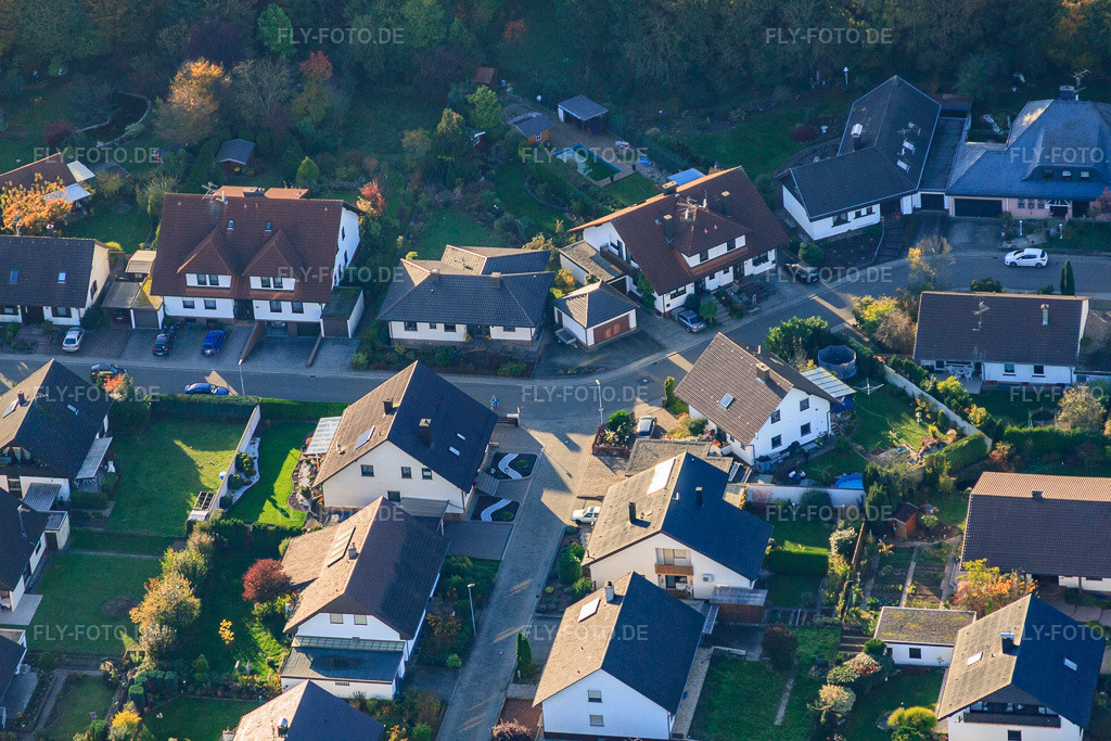 Luftbild: Südring in Rülzheim im Bundesland Rheinland-Pfalz in Deutschland. Foto: IMG_60454.jpg vom 24.10.2013 durch Werner Riehm/FLY-FOTO.de