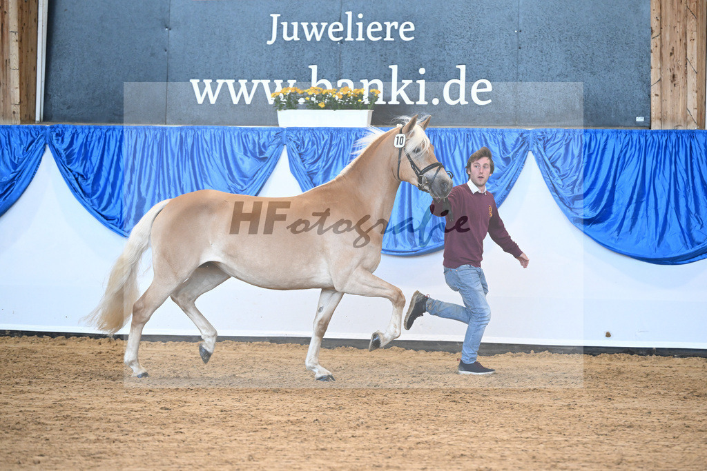 Bl. Band Kat-Nr. 10 Naila v. Bugatti_Schuetz_48241147 | hf-fotografie - Realizzato con Pictrs.com