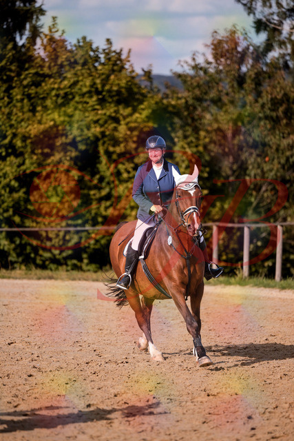 2026_10_03_Siefer-Hof_160658_Z81_88942960 | Professionelle Reitsport-, Turnier- und Eventfotografie von Robert Broda. Galerien mit ausgewählten und bearbeiteten Bildern direkt online ansehen und bestellen.