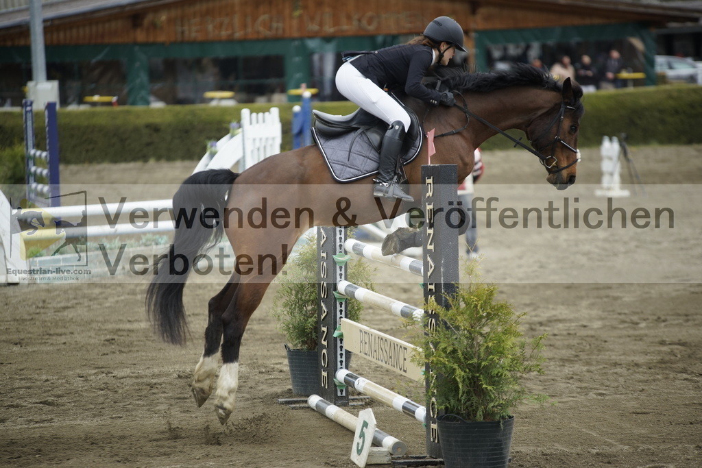_DSC7404 | equestrian-live-com