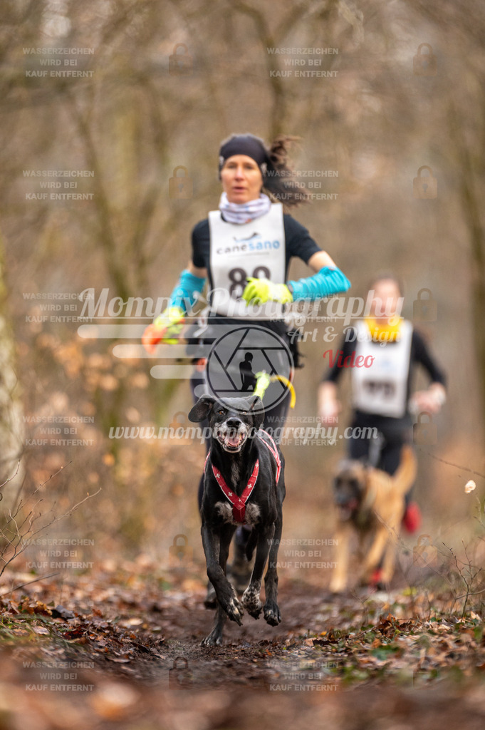 Reiat2023_SON_CaniXRun_8km_W-1 | PayLife
