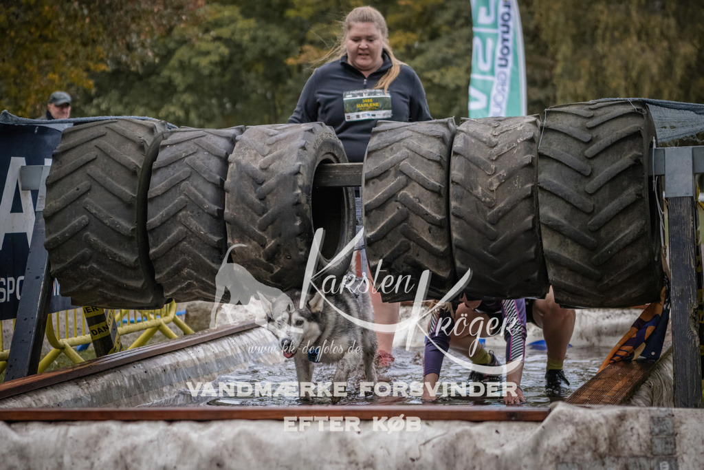 1703_ZZ94720 | kk-dogfotos