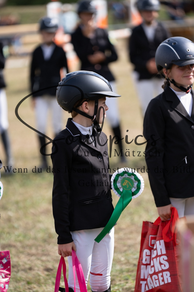 A7V09038 | Pferdefotograf