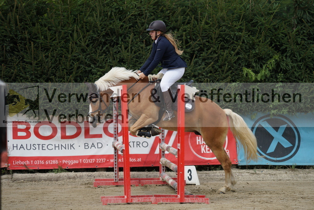 DSC03311 | equestrian-live-com