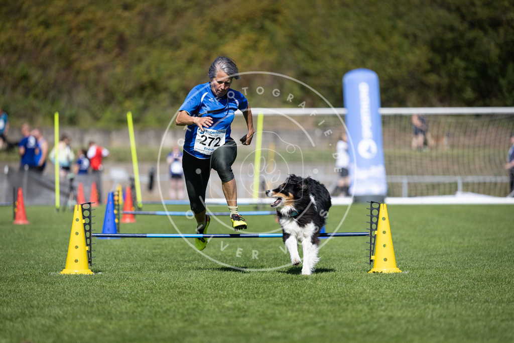 Pfotenfotografie_DV3A6869 | Hundefotografie, Tierfotograf, Pfotenfotografie, Fotoshooting Hund, Hunde Portrait, Hundesport, Hundeportraits, Heideshooting, Hunde, Sportfotograf, Hundefotograf, Turnierhundsport, THS,  - Realisiert mit Pictrs.com