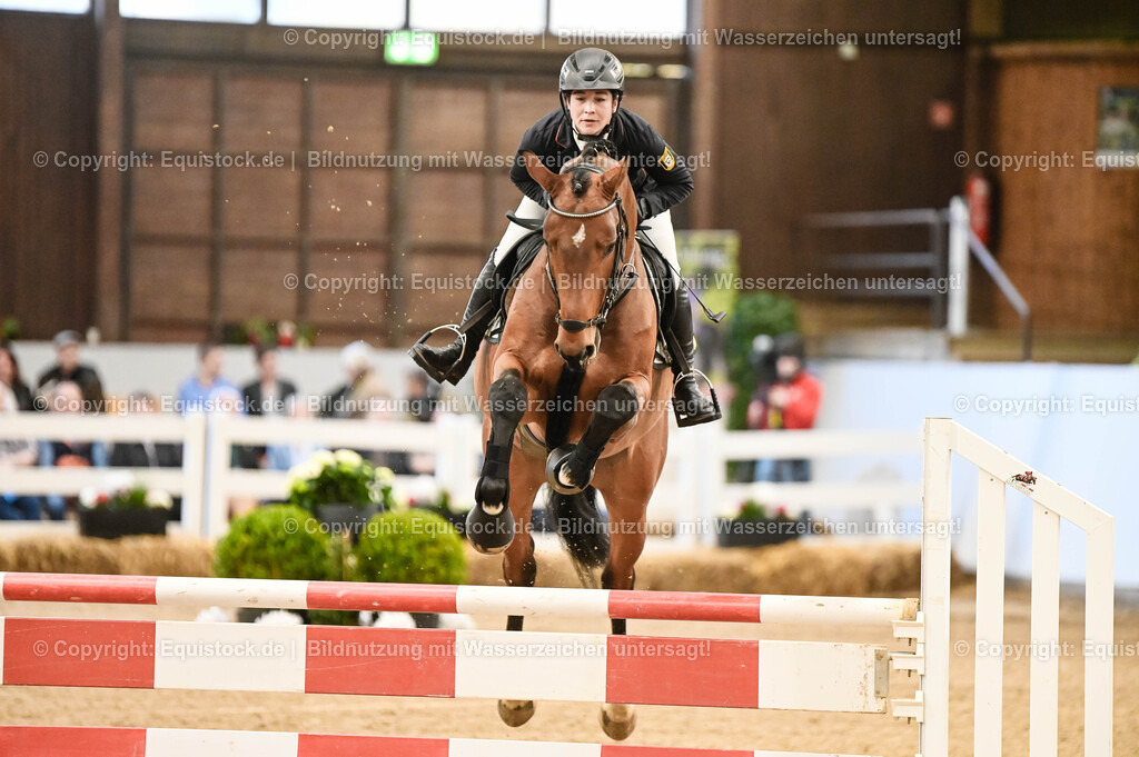 20260307_Hengstvorstellung-Marbach_0025 | equistock