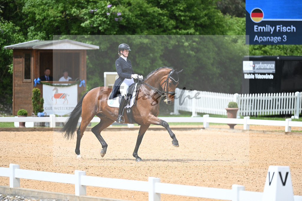 Fisch_Apanage_11233392 | hf-fotografie - Realisiert mit Pictrs.com