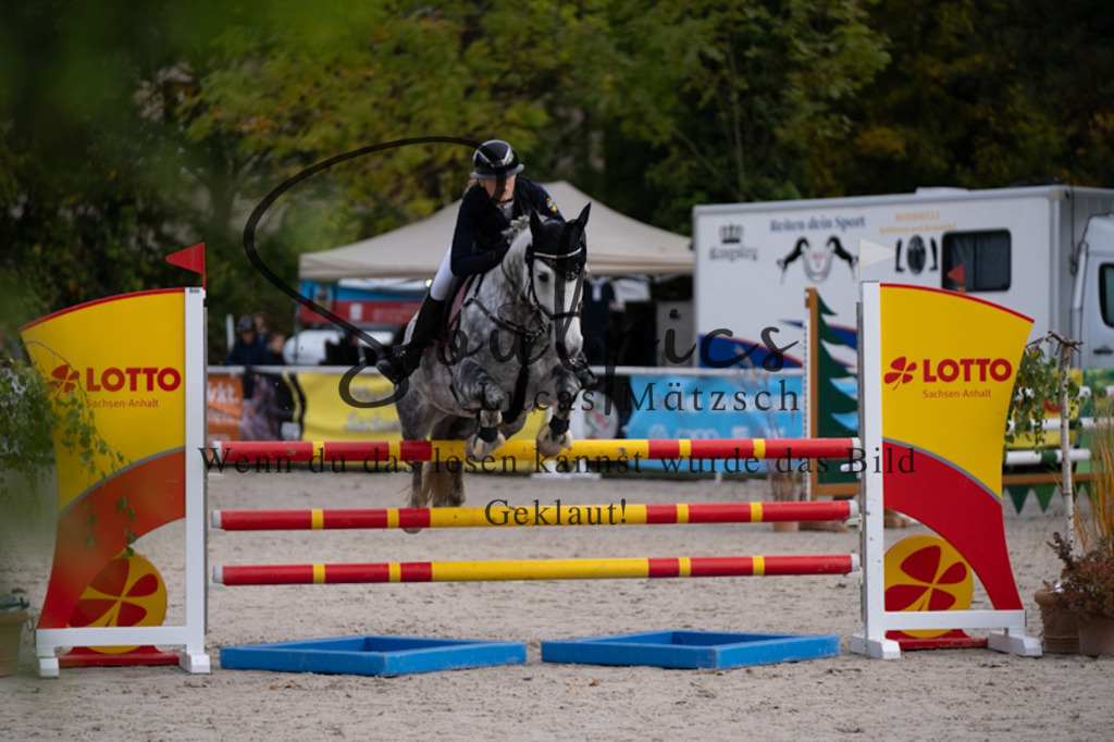 A7V00387 | Pferdefotograf