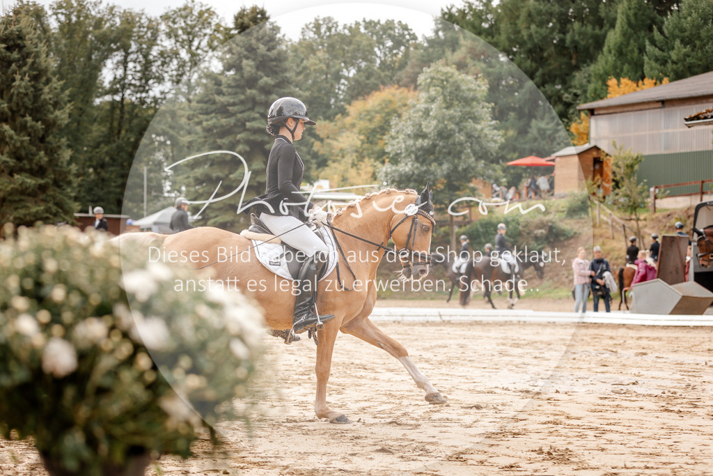3I6A6938 | Stimmungsvolle Portraits und Reitsportfotografie im Ruhrgebiet und im Münsterland.

Pferdefotografie, Hundefotografie, Tierfotografie, Reportagen, Portraits von Tier und Mensch, Turnierfotografie in Bochum, Recklinghausen, Marl, Haltern am See, Dülmen.. - Realisiert mit Pictrs.com