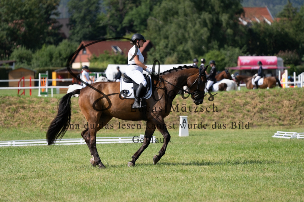 A7V09593 | Pferdefotograf