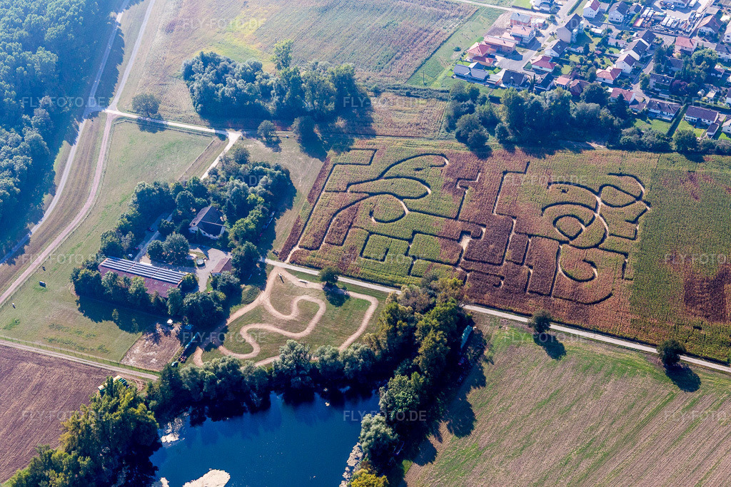 Luftbild: Irrgarten - Labyrinth auf einem Maisfeld in Leimersheim im Bundesland Rheinland-Pfalz in Deutschland. Foto: IMG_094866.jpg vom 24.09.2016 durch Werner Riehm/FLY-FOTO.de