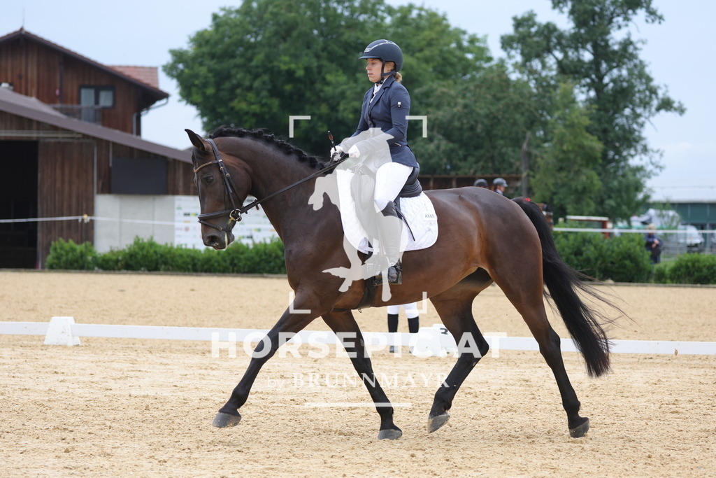 0P6A8544 | Willkommen bei Brunnmayr - Design & Fotografie – Ihrem Spezialisten für Reitturniere und Pferdeveranstaltungen in Oberösterreich, Salzburg und Bayern! Seit über 17 Jahren sind wir leidenschaftlich dabei.