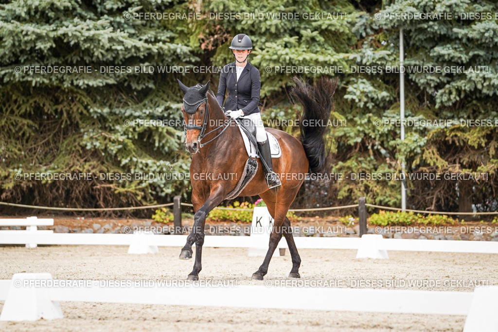 DSC05847 | Pferdegrafie