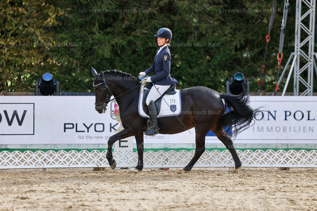 02-173-DRESSUR L_  -StoibPH-4753 | working equitationturnier fotograf videograf stoibphotography marixx film working equitation deutschland reitsport turnierfotografie eventfotografie equestrian events
