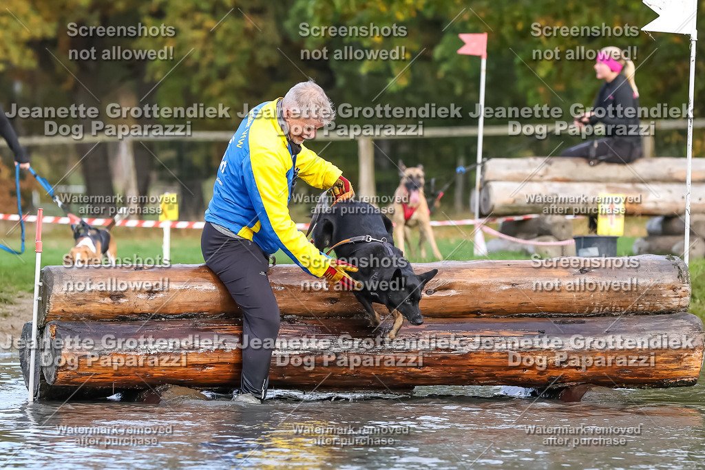 Dog Paparazzi - Strongdog 10-25-6972 | Dog Paparazzi Jeanette Grottendiek Fotografie & Videografie - Realisiert mit Pictrs.com