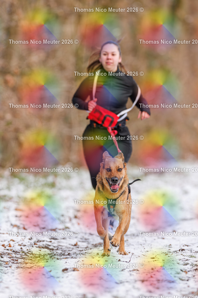 Thomas_Nico_Meuter(C)_223A8539 | Bild von Thomas Nico Meuter - Realisiert mit Pictrs.com