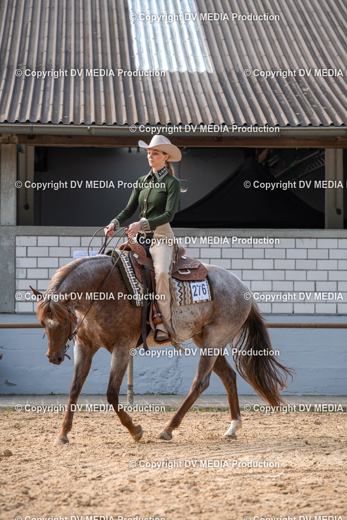 EWP_5740 | dv-media-shop - Realisiert mit Pictrs.com