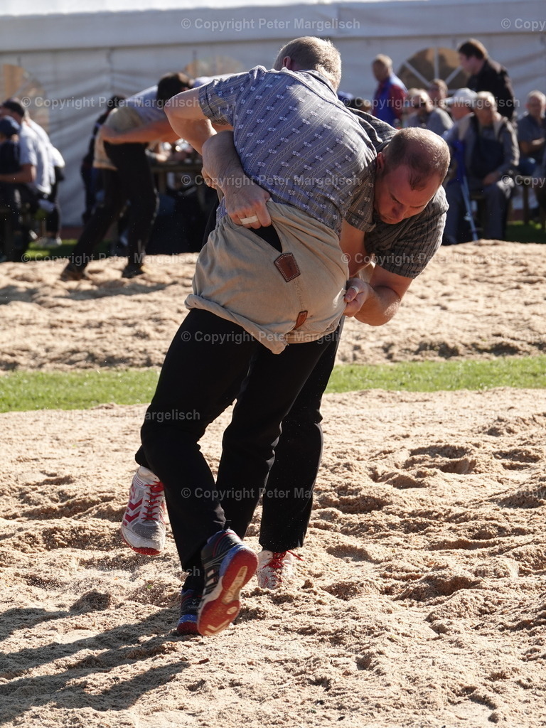 DSC05563 | Schwingen - Realisiert mit Pictrs.com