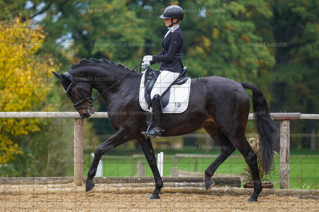 20221008-FAH01907 | Diessen am Ammersee, 2022, Dressur- und Springturnier, Reitsportbilder, Turnierfotografen Bayern, Pferdefotografen, Fotoagentur Herrmann, Turnierbilder