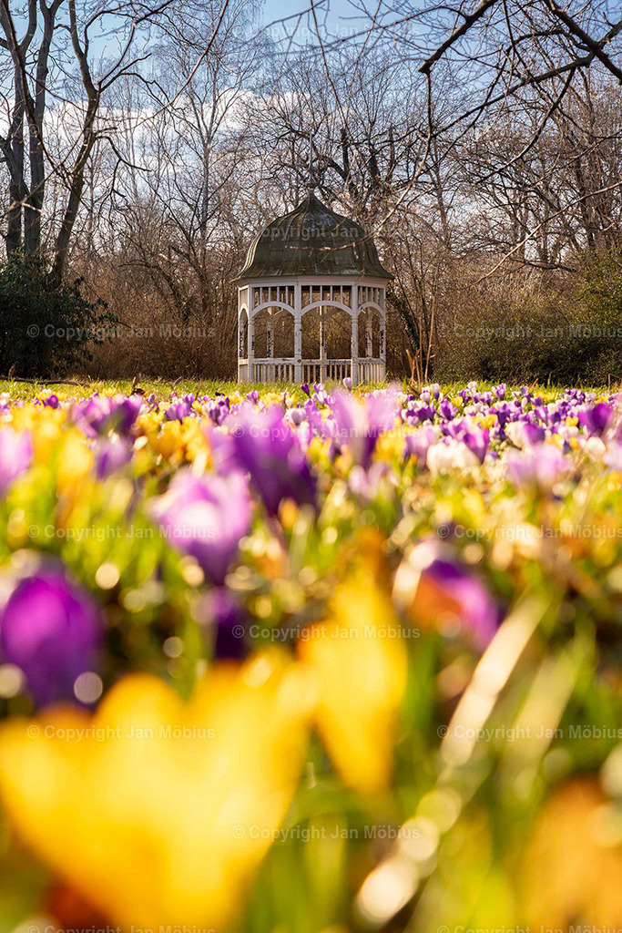 Johanna-Park | Der Johanna-Park in Leipzig verbindet Ruhe, Natur und Citynähe – ideal für Spaziergänge, Entspannung und Ausblicke auf die Stadtkulisse. - Realisiert mit Pictrs.com