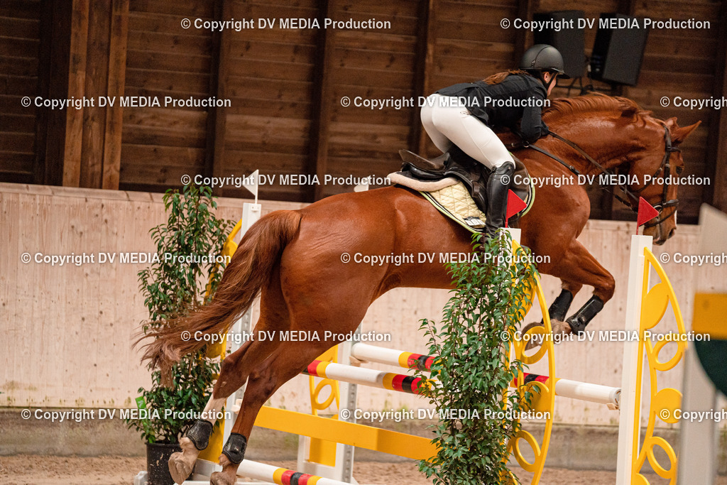 Springen Tag 2-499 | dv-media-shop - Realisiert mit Pictrs.com