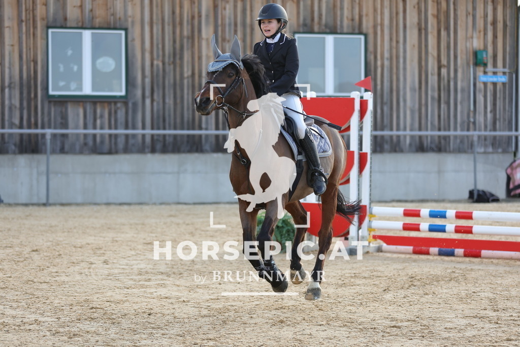 0P6A8956 | Willkommen bei Brunnmayr - Design & Fotografie – Ihrem Spezialisten für Reitturniere und Pferdeveranstaltungen in Oberösterreich, Salzburg und Bayern! Seit über 17 Jahren sind wir leidenschaftlich dabei.