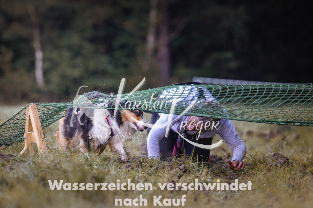 0822_ZZ90170 | kk-dogfotos
