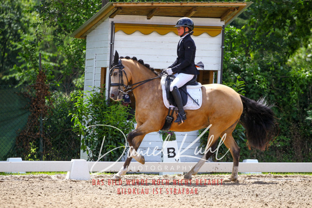 DKP40934 | Turnierfotos kaufen im Webshop von Daniel Kuhl Photography – entdecke professionelle Reitsportfotos aus Turnieren & Events. Hochwertige Turnierbilder online bestellen & sichern. Jetzt Fotos von Reitsportturnieren kaufen!