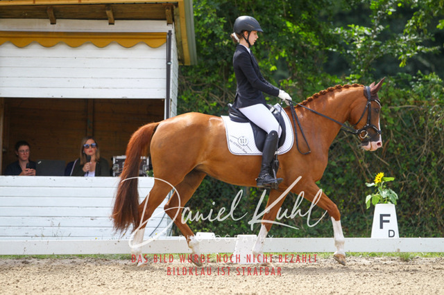 DKP42118 | Turniersportfotografie; Pferdefotografie; Dressurfotografie