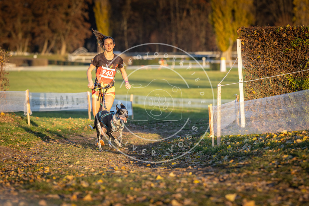 CaniXpix_DV3A5359 | Hundefotografie, Tierfotograf, Pfotenfotografie, Fotoshooting Hund, Hunde Portrait, Hundesport, Hundeportraits, Heideshooting, Hunde, Sportfotograf, Hundefotograf, Turnierhundsport, THS,  - Realisiert mit Pictrs.com
