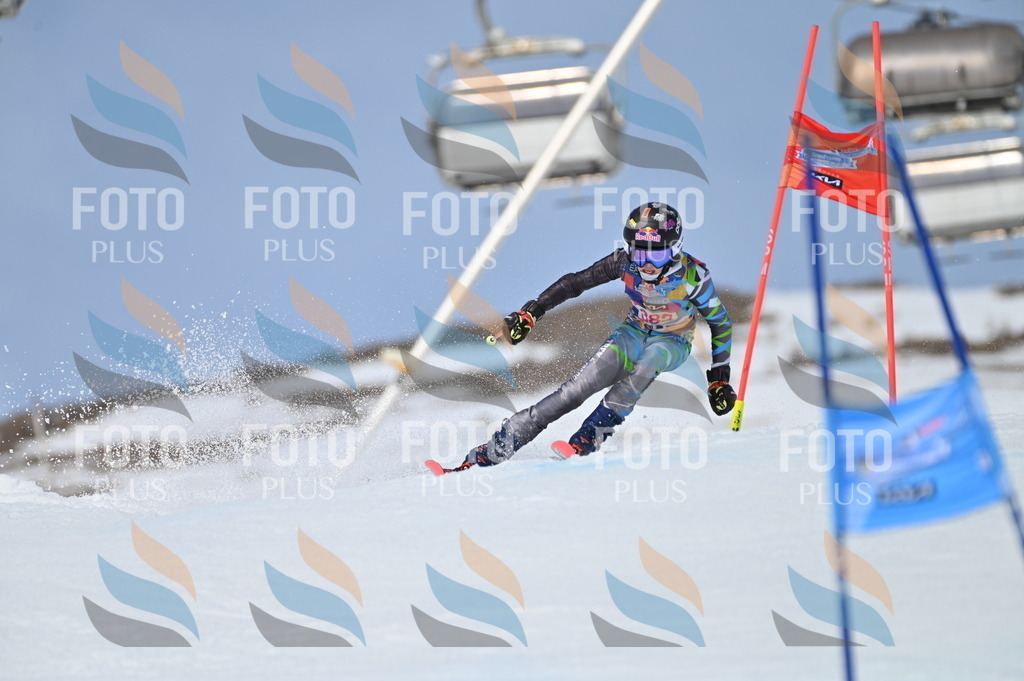 BGV_4206 | holidayphoto