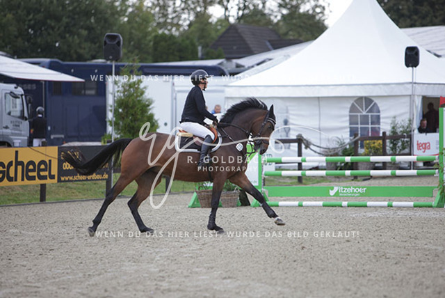 1J2A8650Henrike Blohm_ Natalma P._ Kn775_ Havekost | Foto- und Videografie für alles rund ums Pferd. Hochwertige Bilder und Videos vom Spring- und Dressurreiten, Voltigieren & mehr. Jetzt aktuelle Veranstaltungen und Preise im Shop ansehen. - Realisiert mit Pictrs.com