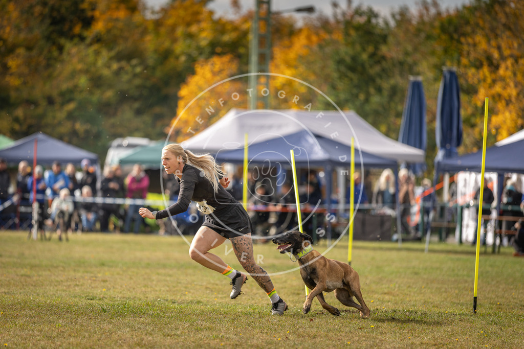 Pfotenfotografie_DV3A7078 | Hundefotografie, Tierfotograf, Pfotenfotografie, Fotoshooting Hund, Hunde Portrait, Hundesport, Hundeportraits, Heideshooting, Hunde, Sportfotograf, Hundefotograf, Turnierhundsport, THS,  - Realisiert mit Pictrs.com