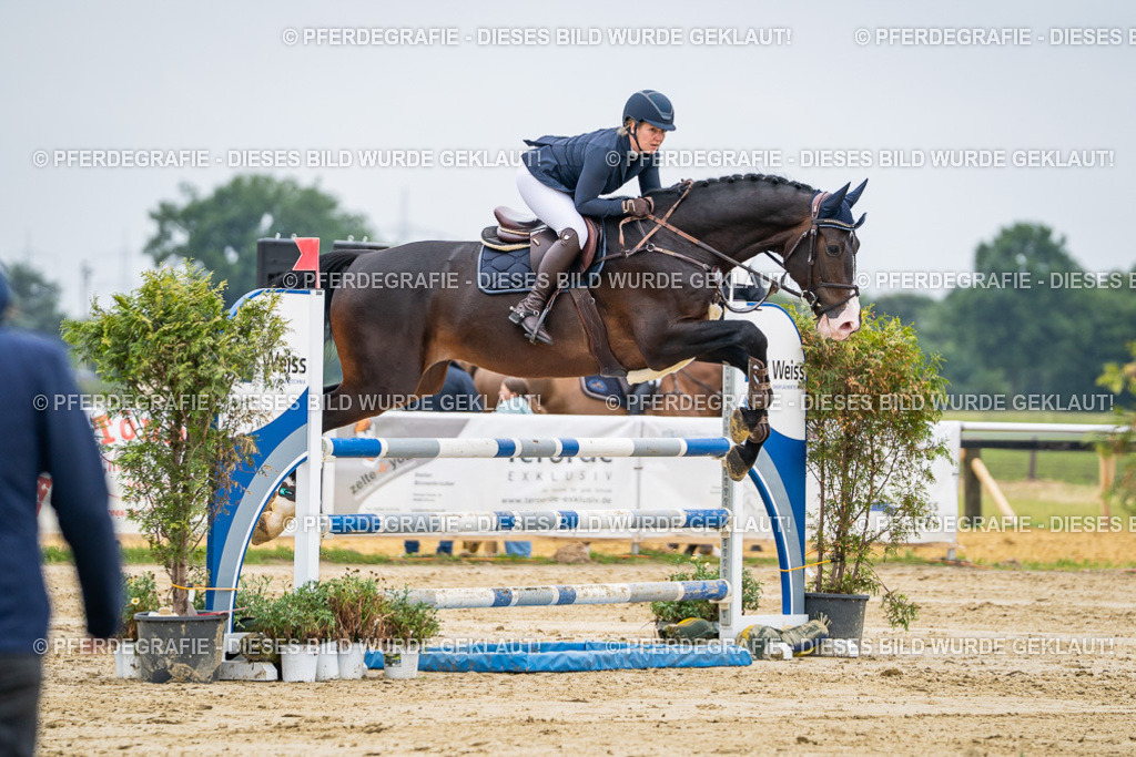 DSC02472 | Pferdegrafie