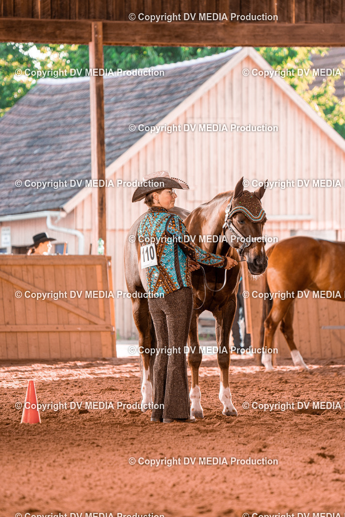 NE100103 | dv-media-shop - Realisiert mit Pictrs.com