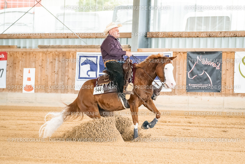 DSC01604 | Pferdegrafie