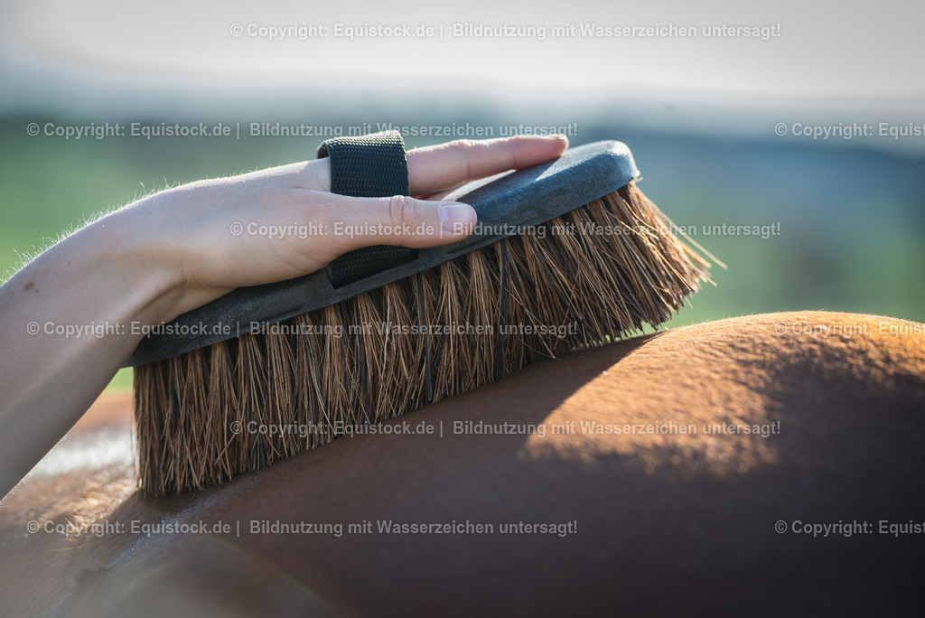 20150414_B__rsten_0003 | equistock