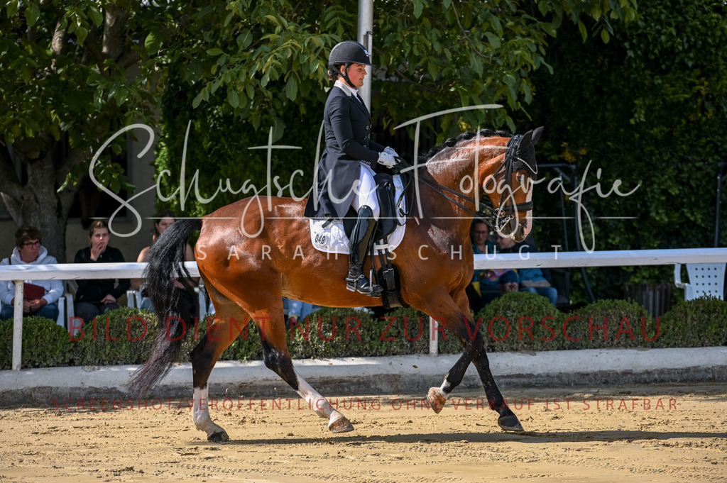 Schugtsche-Aluta25-58. Dressurprf.S1Kand.St.GeorgSpecial-255 | Schugtsche Fotografie - Realisiert mit Pictrs.com