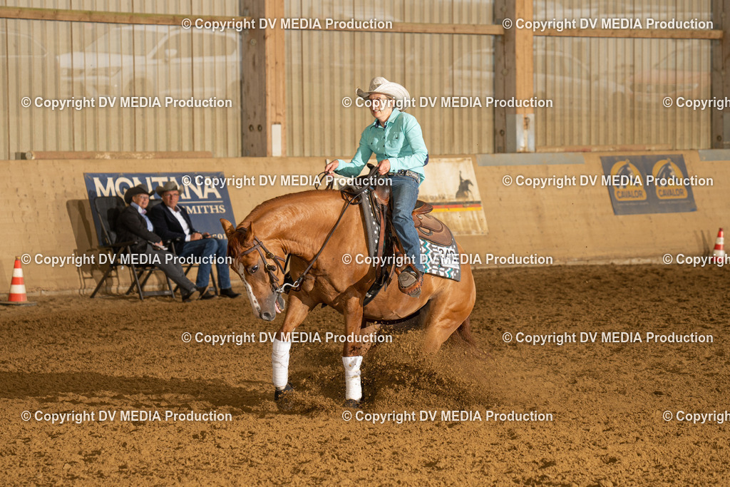 LAU00382 | dv-media-shop - Realisiert mit Pictrs.com