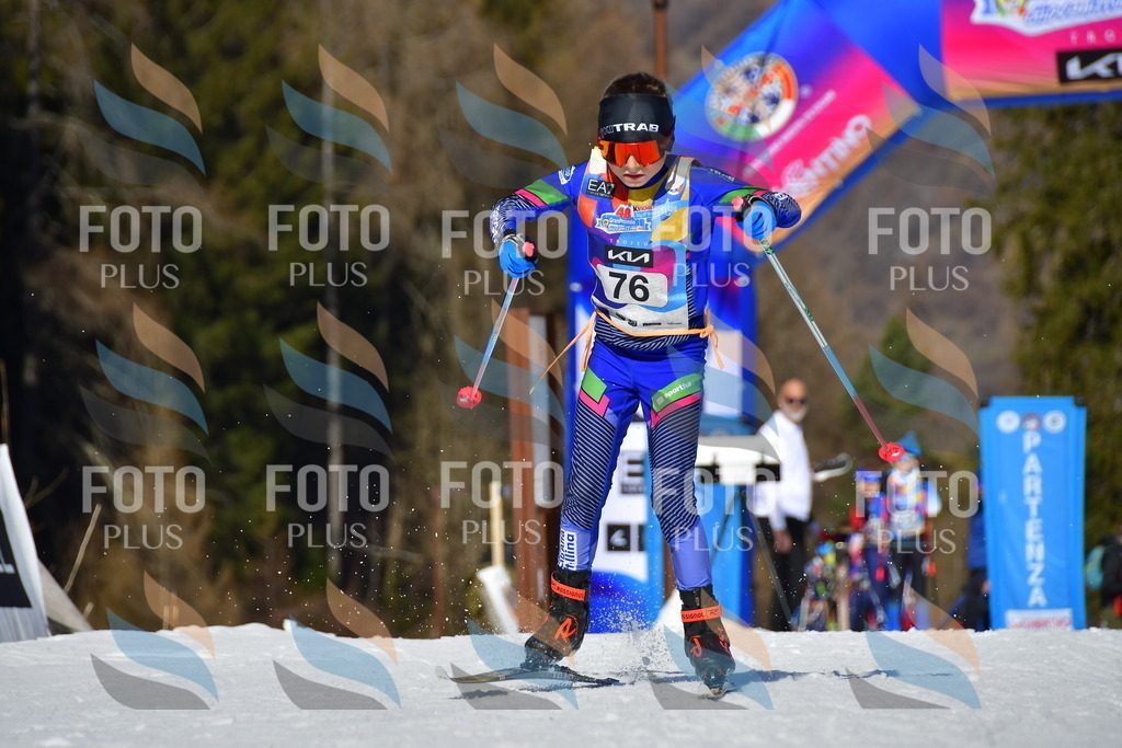 _DSC9350 | holidayphoto