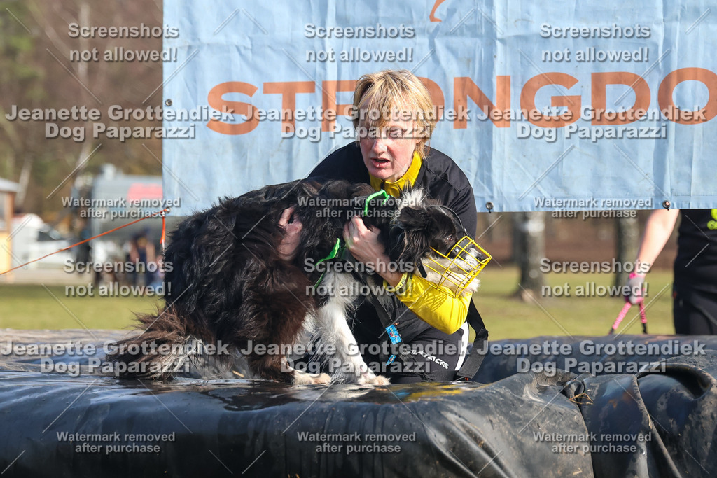 Dog Paparazzi - Strongdog North Mrz26-2415 | Dog Paparazzi Jeanette Grottendiek Fotografie & Videografie - Realisiert mit Pictrs.com