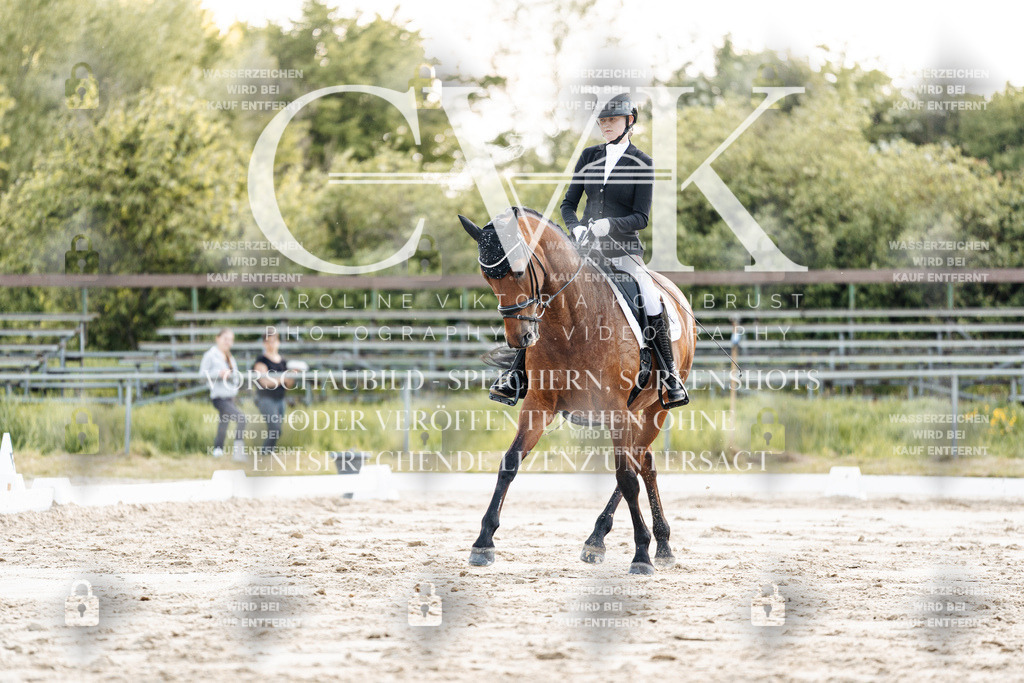 CK909625 | Turnierfotografie Pferdefotografie Trier Rheinland-Pfalz Pferdesport Reitsport Tierfotografie Sportfotografie Pferdevideo Pferdevideografie Equestrianvideography equestrianphotography  - Realisiert mit Pictrs.com