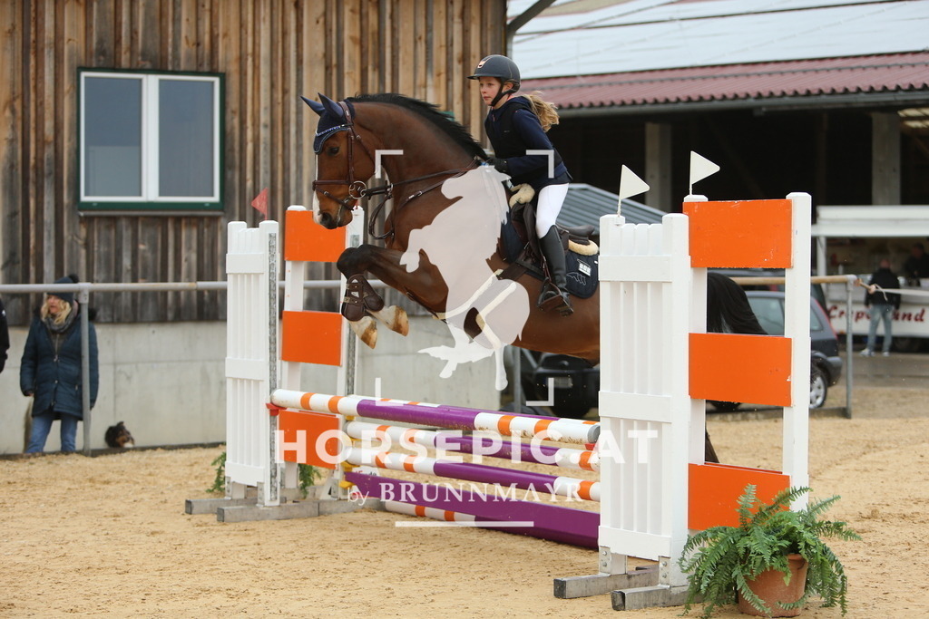 DL2Q1149 | Willkommen bei Brunnmayr - Design & Fotografie – Ihrem Spezialisten für Reitturniere und Pferdeveranstaltungen in Oberösterreich, Salzburg und Bayern! Seit über 17 Jahren sind wir leidenschaftlich dabei.