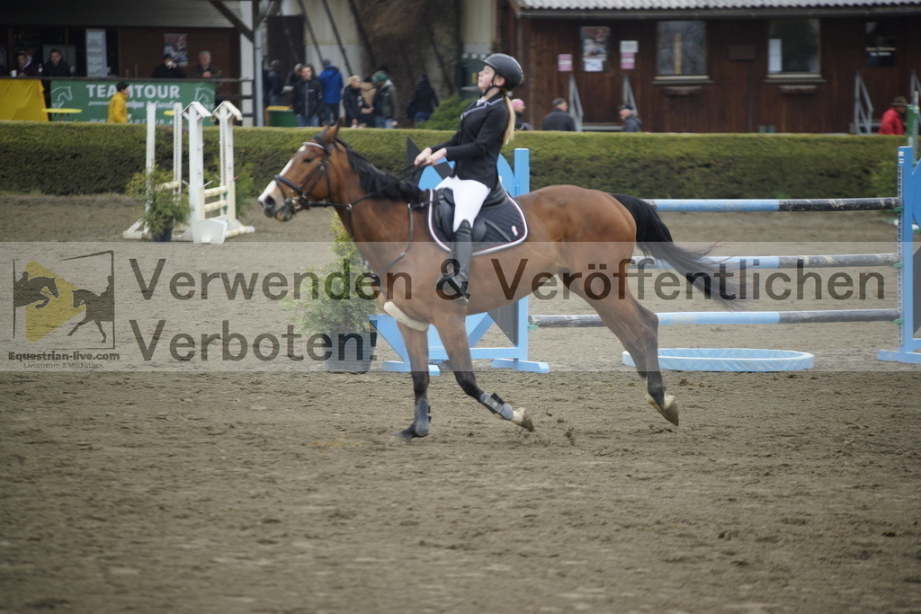 _DSC6846 | equestrian-live-com