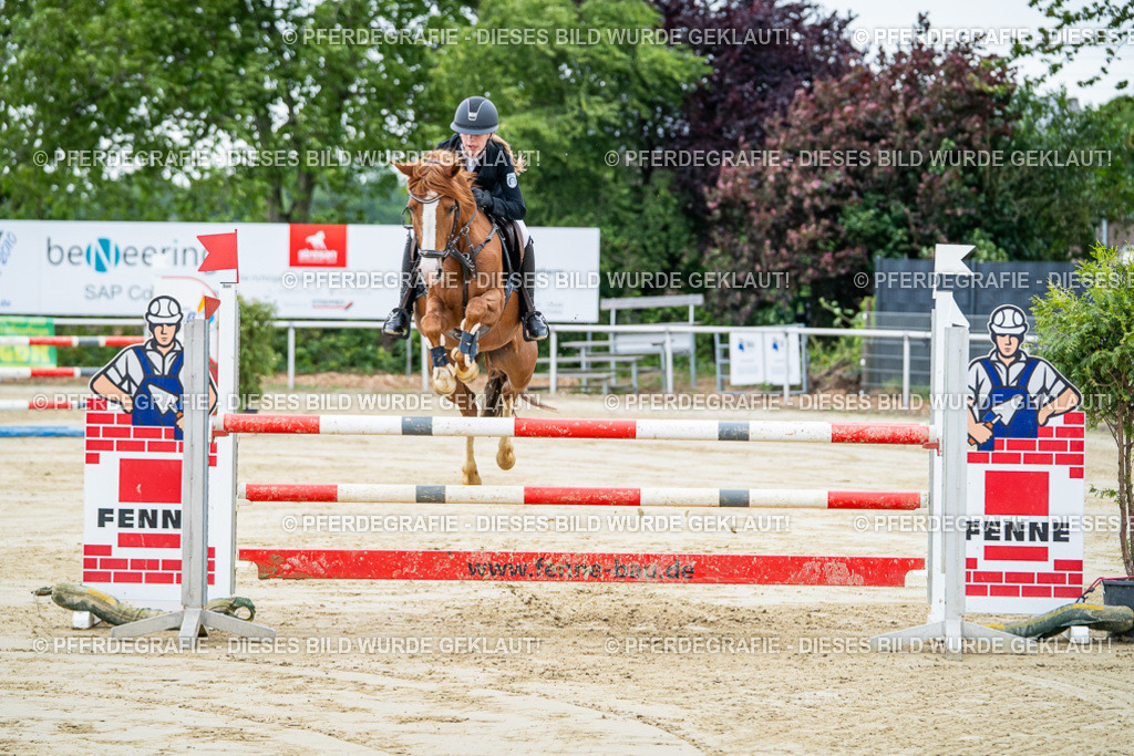 DSC03963 | Pferdegrafie