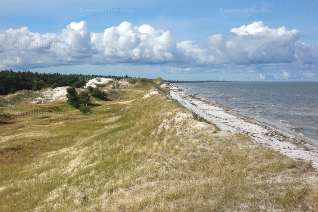 Wanderdünen auf dem Zingst | Vom Aussichtspunkt Hohe Düne bei Pramort geht der Blick nach Westen die Küste entlang bis zum Strand von Prerow am Horizont.