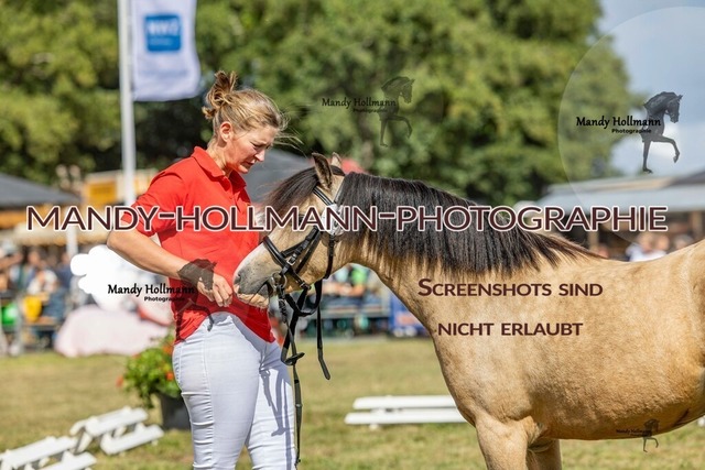 Wel (102 von 433) | mandyhollmannphotographie