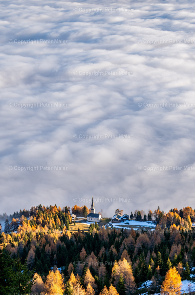 Matererle_Laienkopf_Herbst_25-76 | piet_flosse