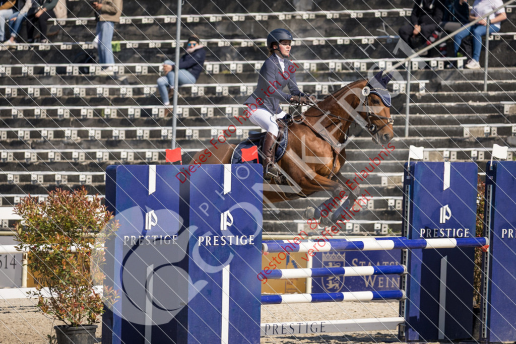 IMG_3755 | Sport-, Event- und Tierfotos in Profiqualität. Einfach auswählen, bestellen und herunterladen. Dein Moment – perfekt festgehalten.