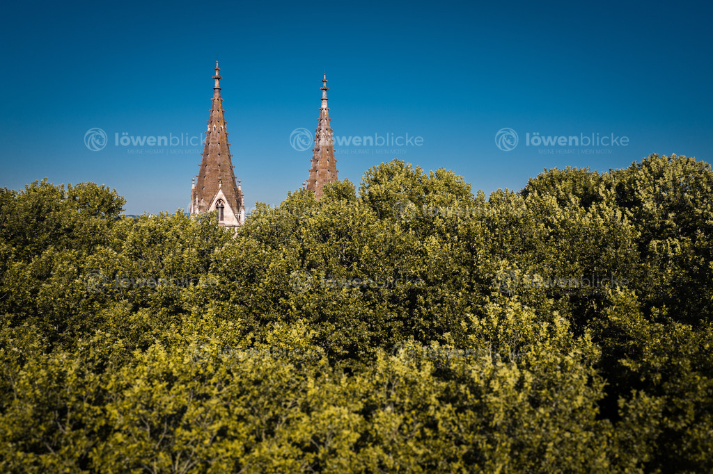 DANIEL-GIMMER-PHOTOGRAPHY_LOEWENBLICKE_0074 | löwenblicke | shop